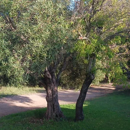 Гостевой дом Casa Orecchioni 3*